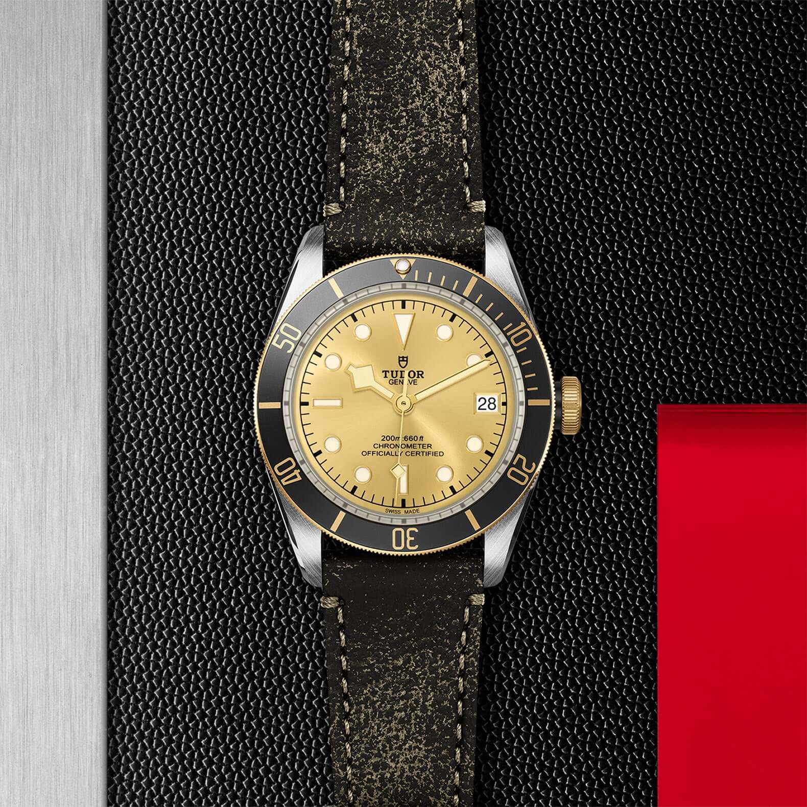Tudor Black Bay Steel and Gold M79733N-0003 Bandiera Jewellers Vaughan