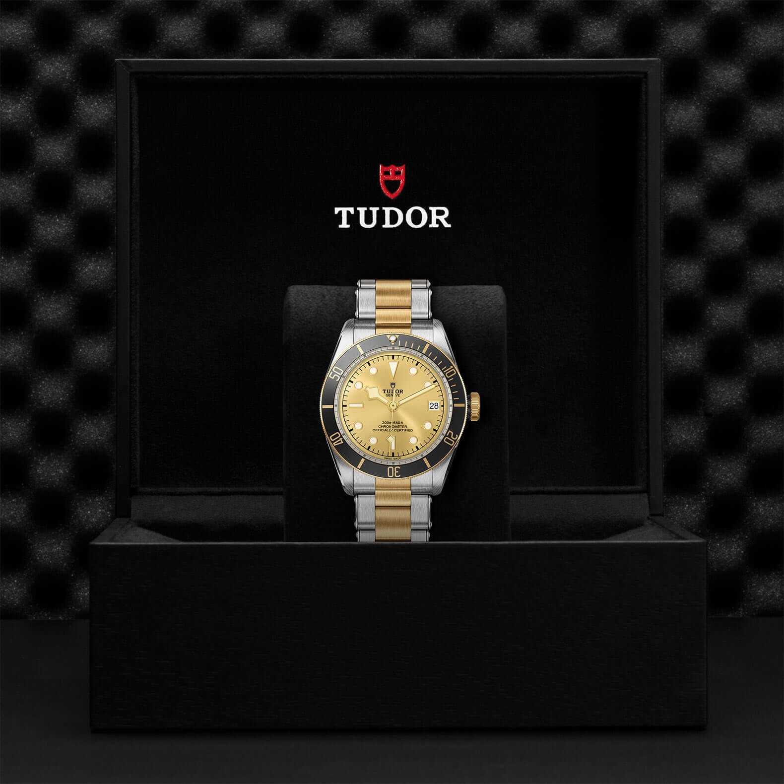 Tudor Black Bay Steel and Gold at Bandiera Jewellers Vaughan