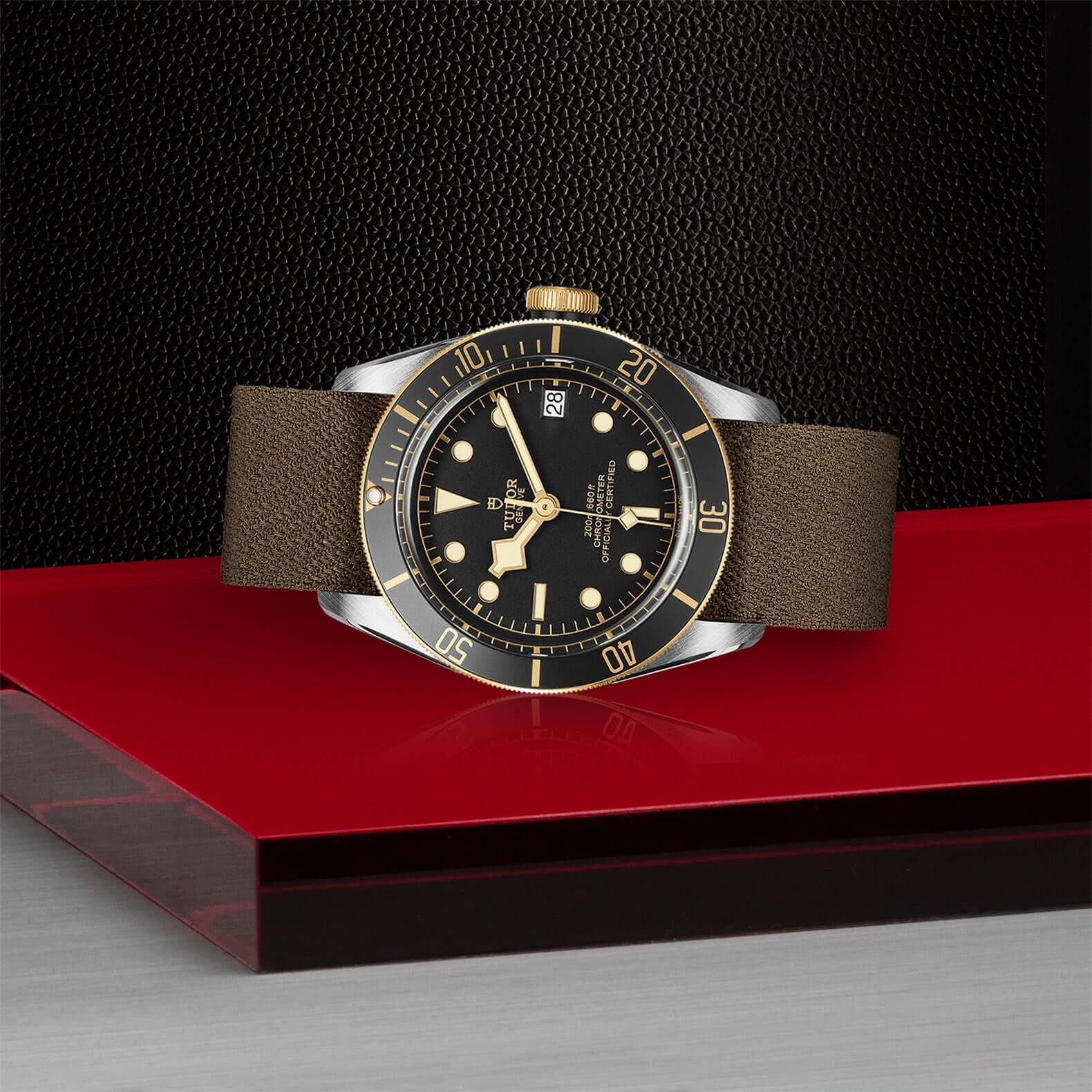 Tudor Black Bay Steel and Gold M79733N-0005 Bandiera Jewellers Vaughan