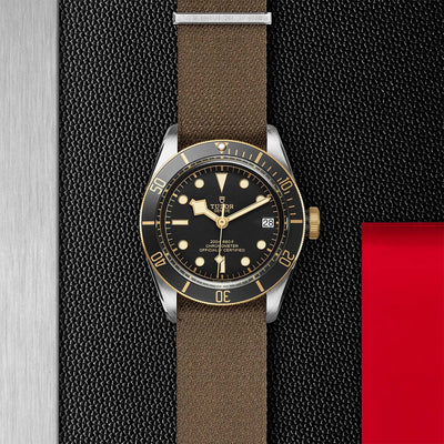 Tudor Black Bay Steel and Gold M79733N-0005 Bandiera Jewellers Vaughan