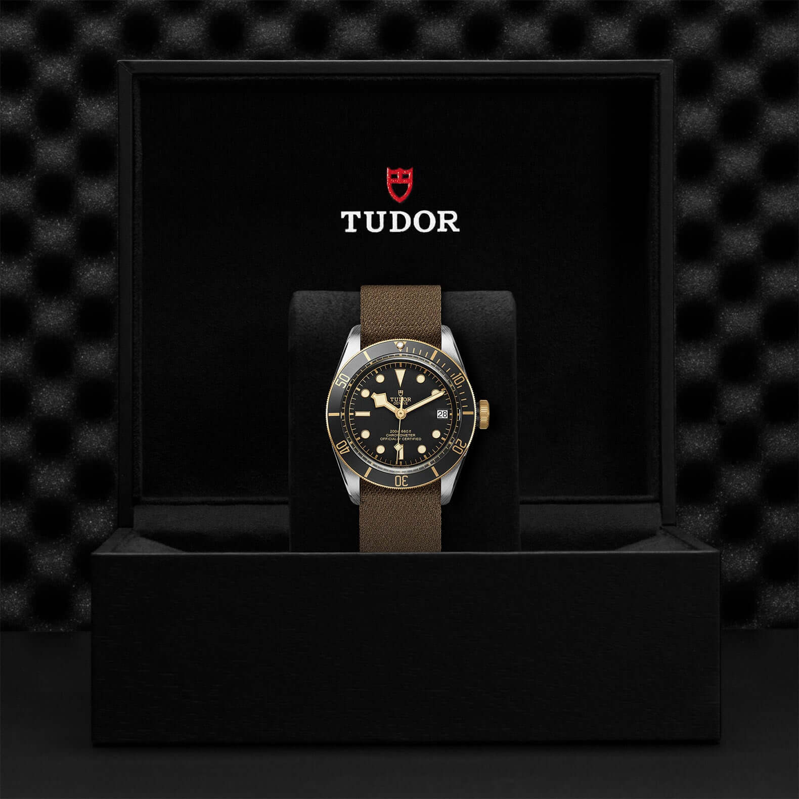 Tudor Black Bay Steel and Gold M79733N-0005 Bandiera Jewellers Vaughan