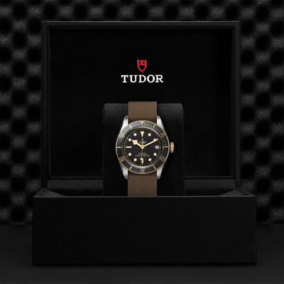 Tudor Black Bay Steel and Gold M79733N-0005 Bandiera Jewellers Vaughan