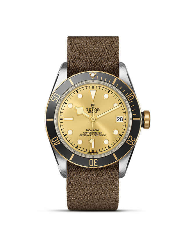Tudor Black Bay Steel and Gold M79733N-0006 Bandiera Jewellers Vaughan