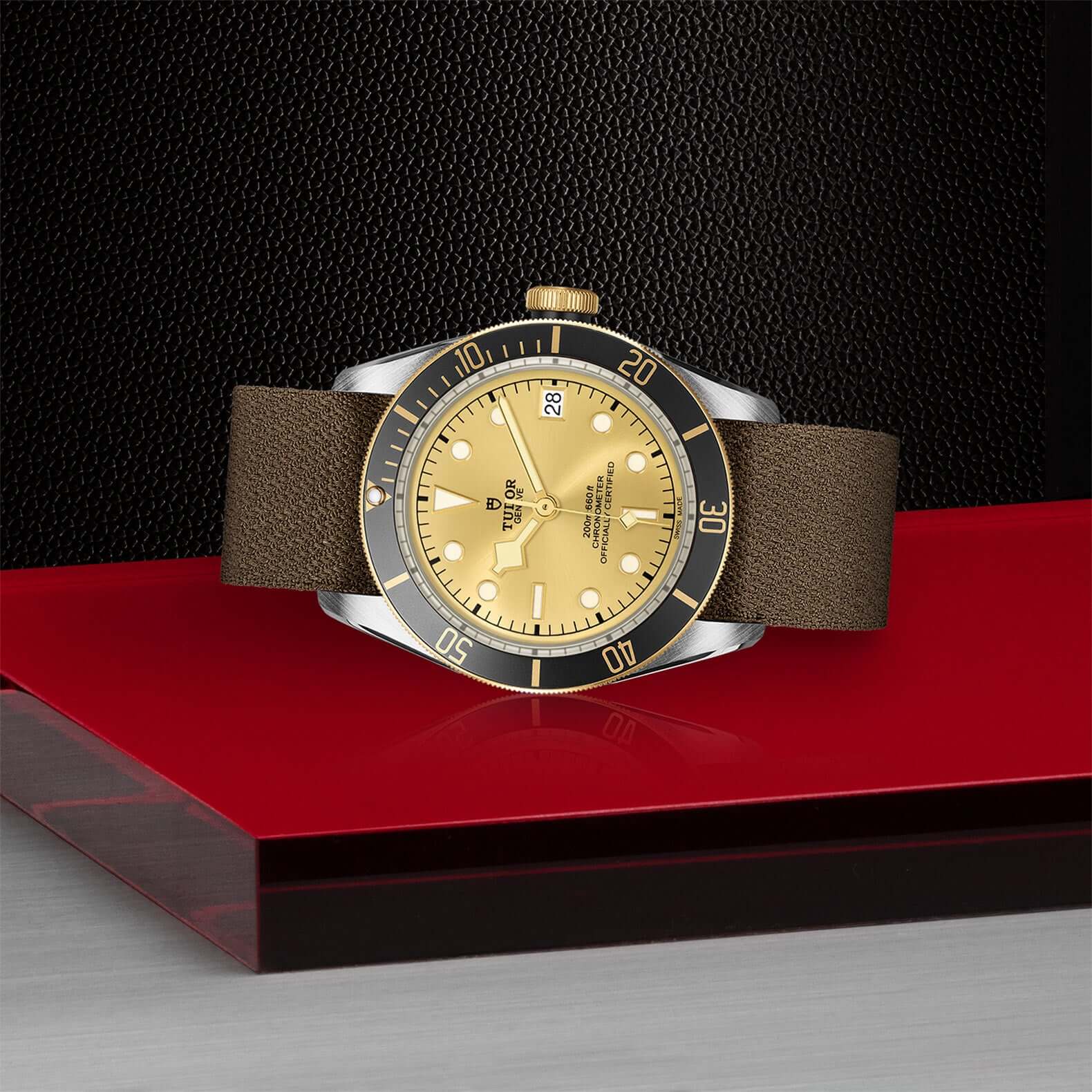 Tudor Black Bay Steel and Gold M79733N-0006 Bandiera Jewellers Vaughan