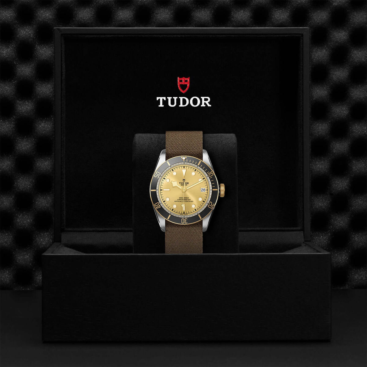 Tudor Black Bay Steel and Gold M79733N-0006 Bandiera Jewellers Vaughan