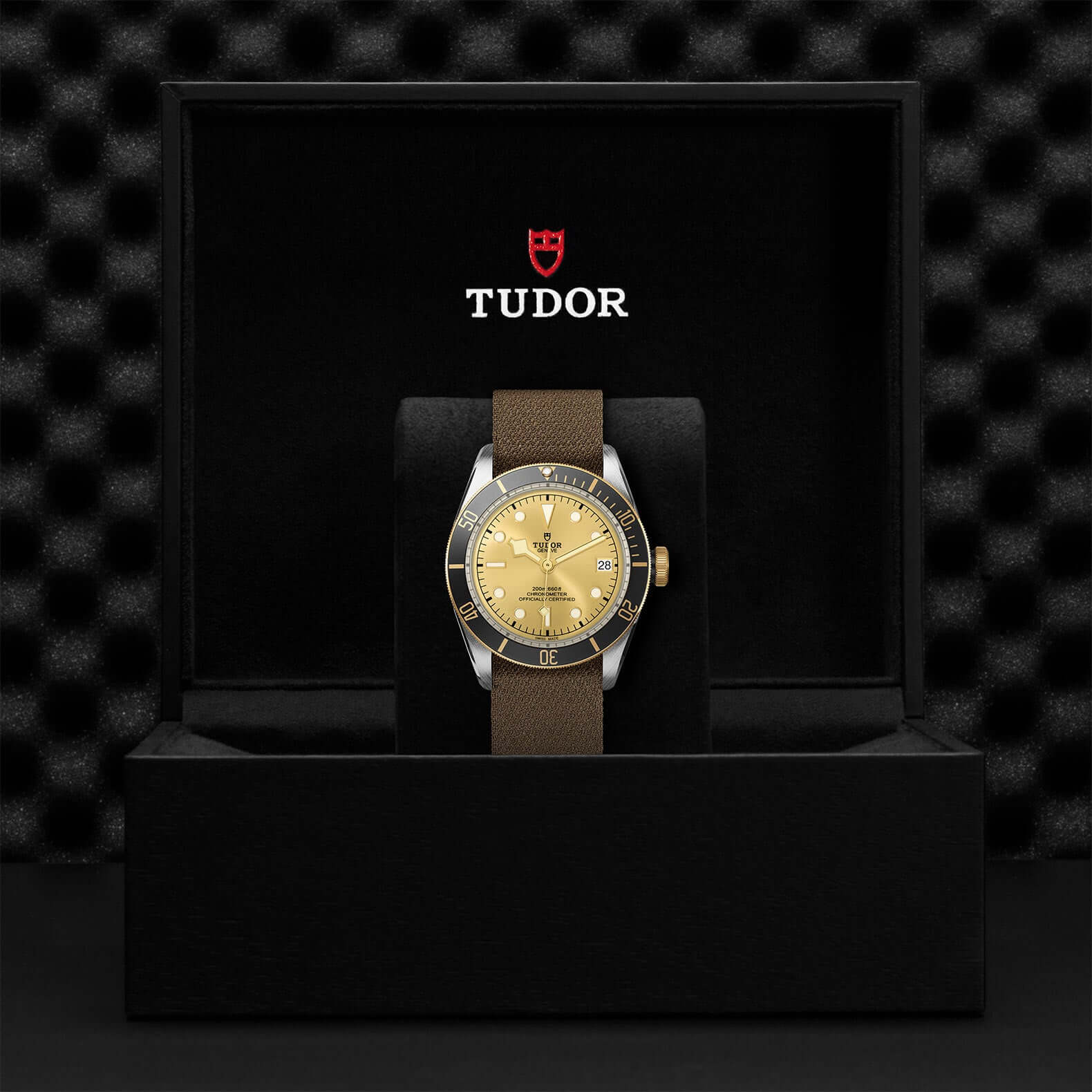 Tudor Black Bay Steel and Gold M79733N-0006 Bandiera Jewellers Vaughan