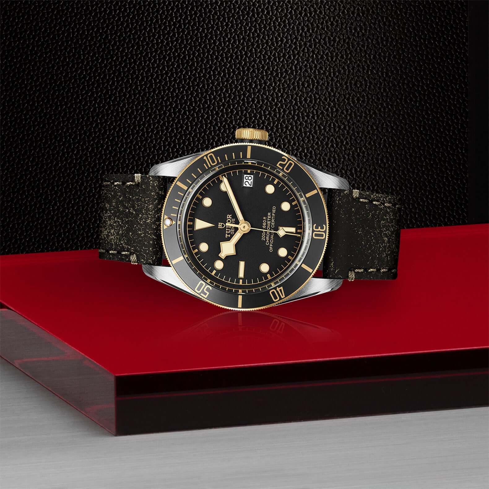 Tudor Black Bay Steel and Gold M79733N-0007 Bandiera Jewellers Vaughan