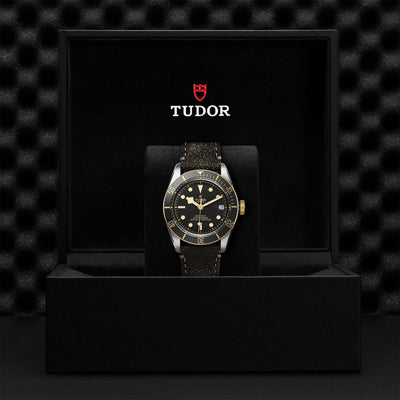Tudor Black Bay Steel and Gold M79733N-0007 Bandiera Jewellers Vaughan