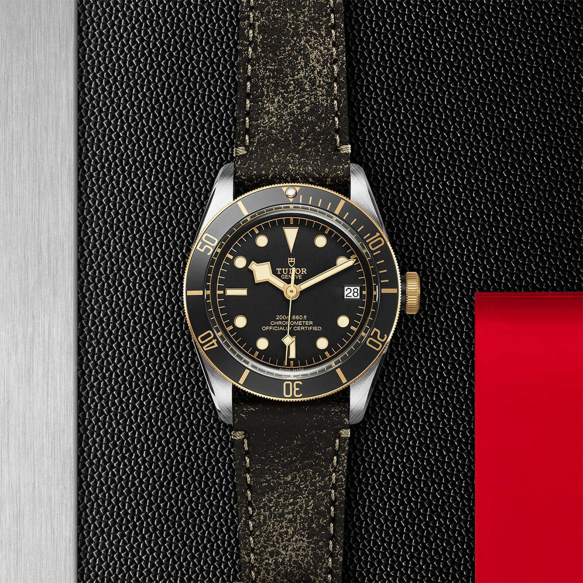Tudor Black Bay Steel and Gold M79733N-0007 Bandiera Jewellers Vaughan