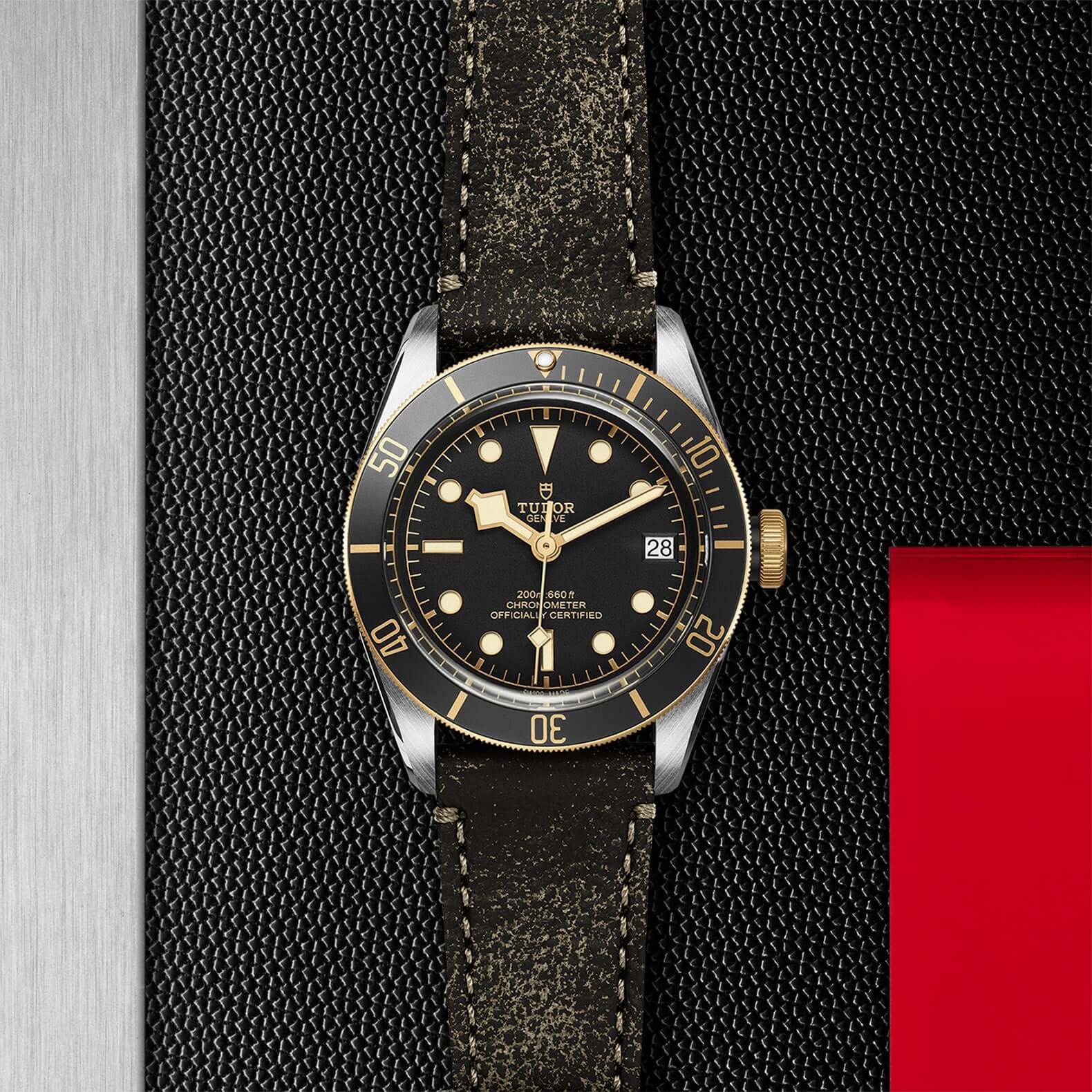 Tudor Black Bay Steel and Gold M79733N-0007 Bandiera Jewellers Vaughan