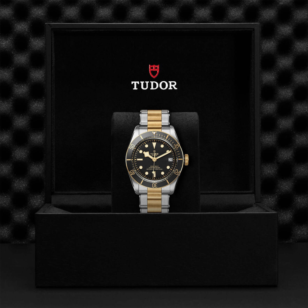 Tudor Black Bay Steel and Gold M79733N-0008 Bandiera Jewellers Vaughan