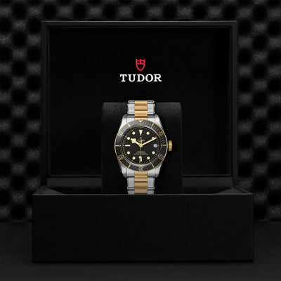 Tudor Black Bay Steel and Gold M79733N-0008 Bandiera Jewellers Vaughan