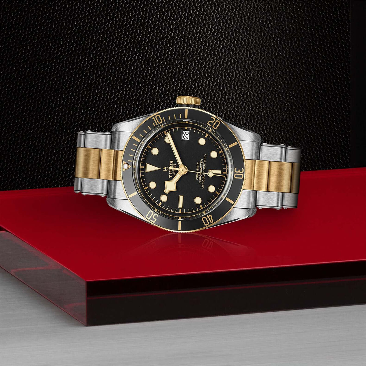 Tudor Black Bay Steel and Gold M79733N-0008 Bandiera Jewellers Vaughan