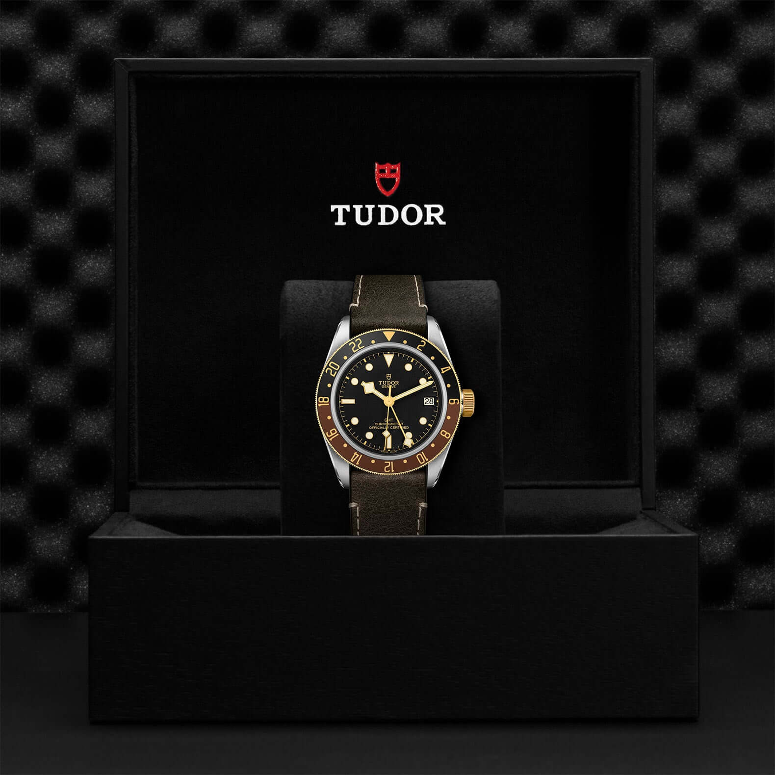 Tudor Black Bay GMT M79833MN-0003 Bandiera Jewellers Vaughan
