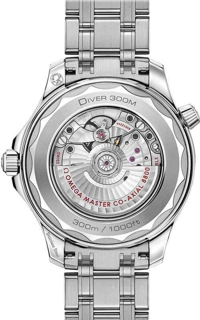 Omega Seamaster 300M Co-Axial Master Chronometer Mens Watch (210.30.42.20.01.001)