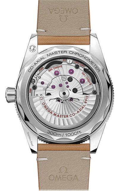 Omega Seamaster 300 CO‑Axial Master Chronometer 41 mm 234.32.41.21.03.001